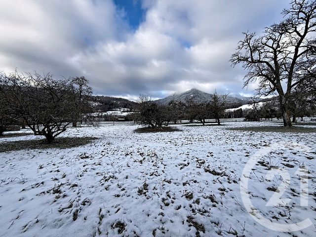 maison à vendre - 3 pièces - 60.0 m2 - MIEUSSY - 74 - RHONE-ALPES - Century 21 Vilminot Immobilier