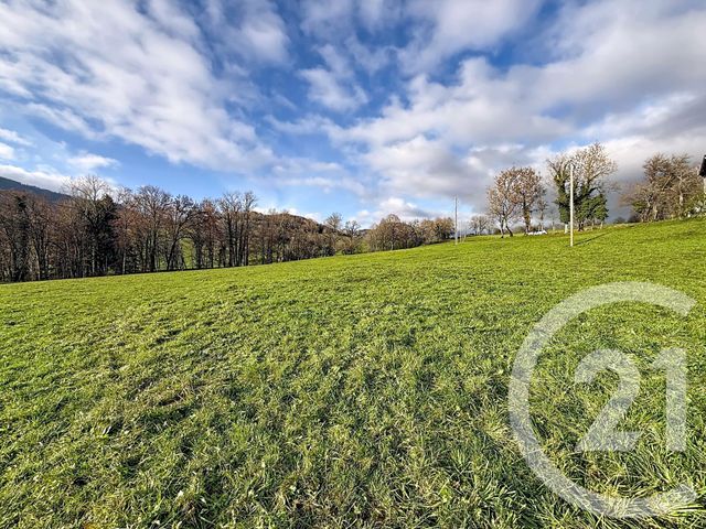 terrain à vendre - 8462.0 m2 - MIEUSSY - 74 - RHONE-ALPES - Century 21 Vilminot Immobilier